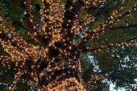 Group of people celebrating on stage