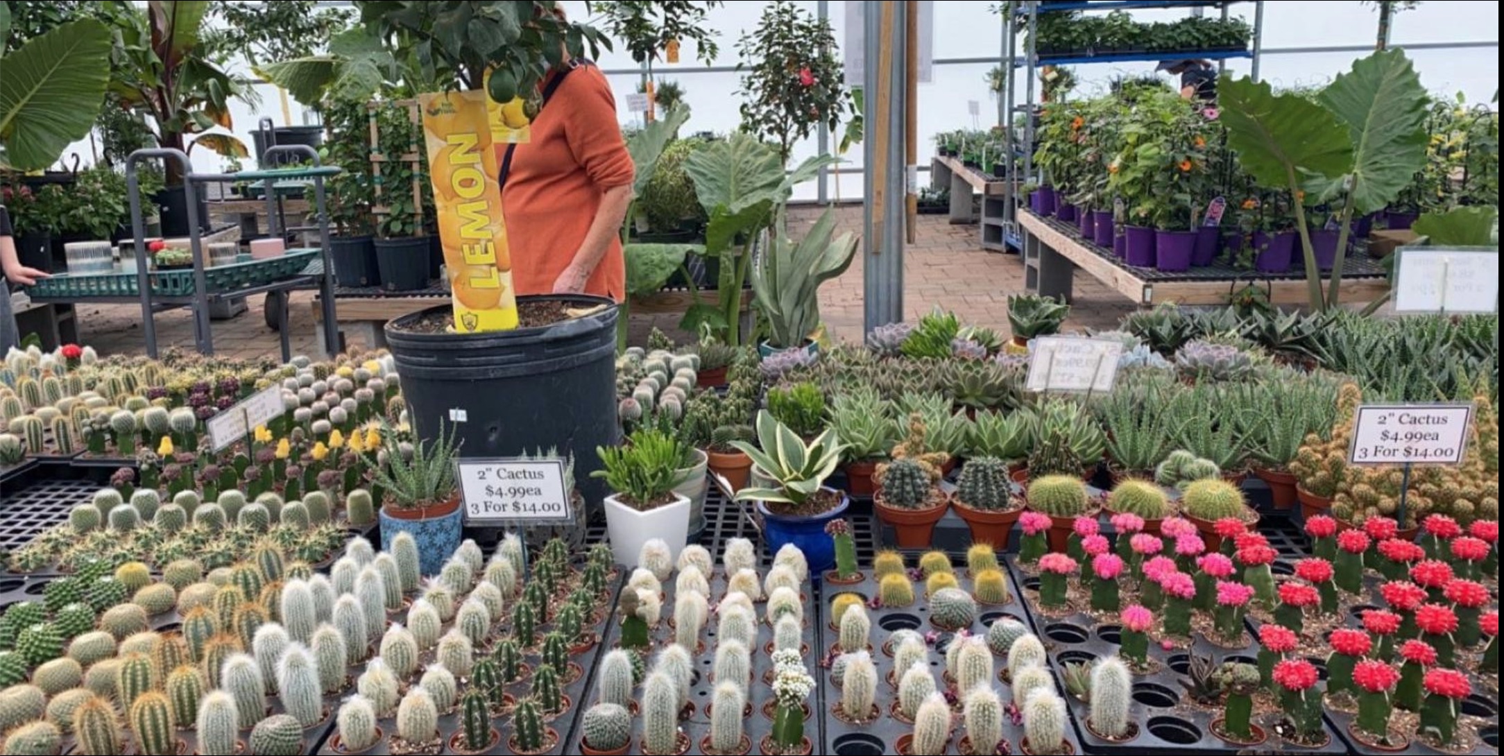 Group of people celebrating on stage
