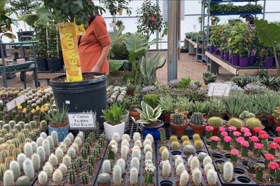 Group of people celebrating on stage