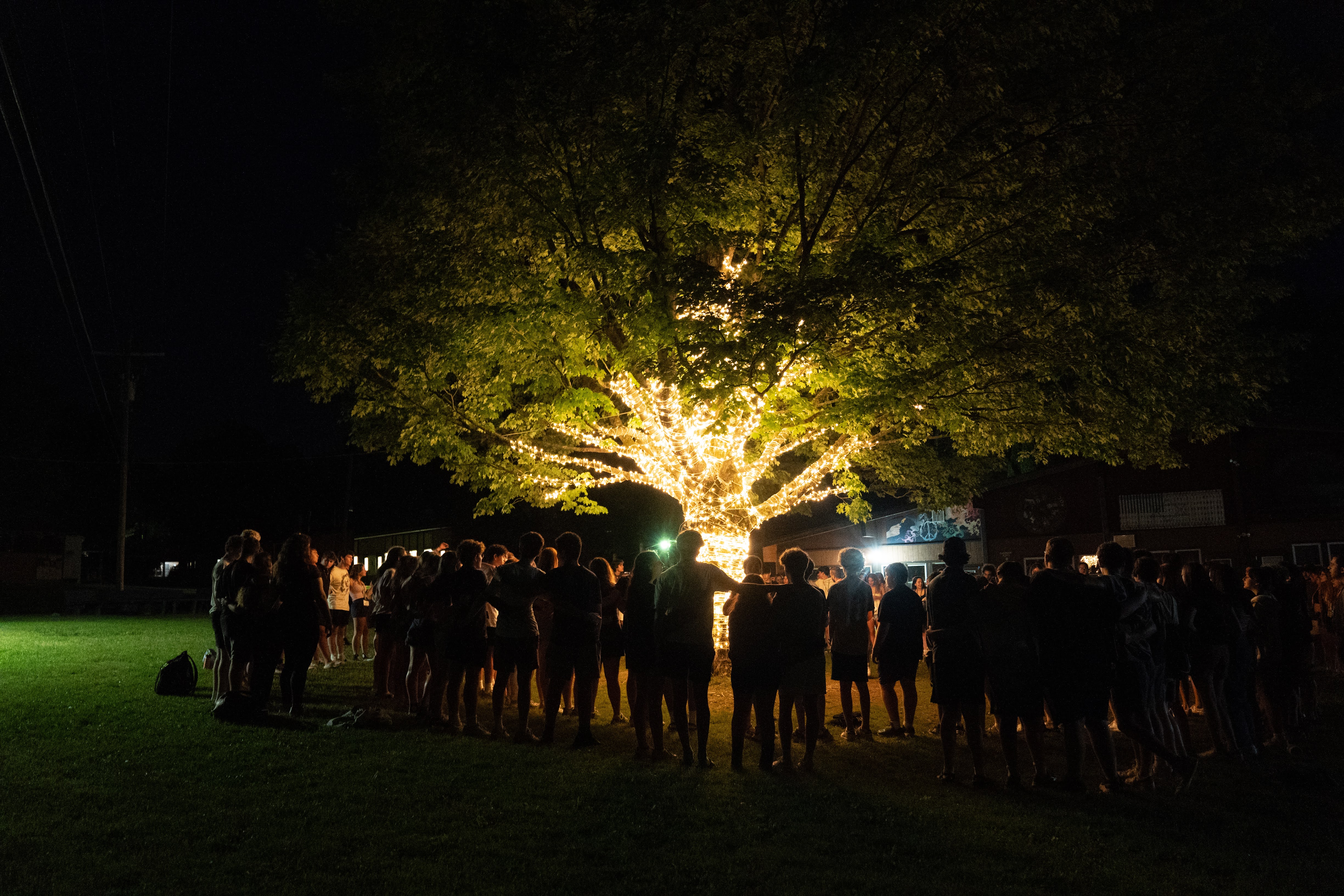 64aec05156cfe5ac5c33328b_DSC07154