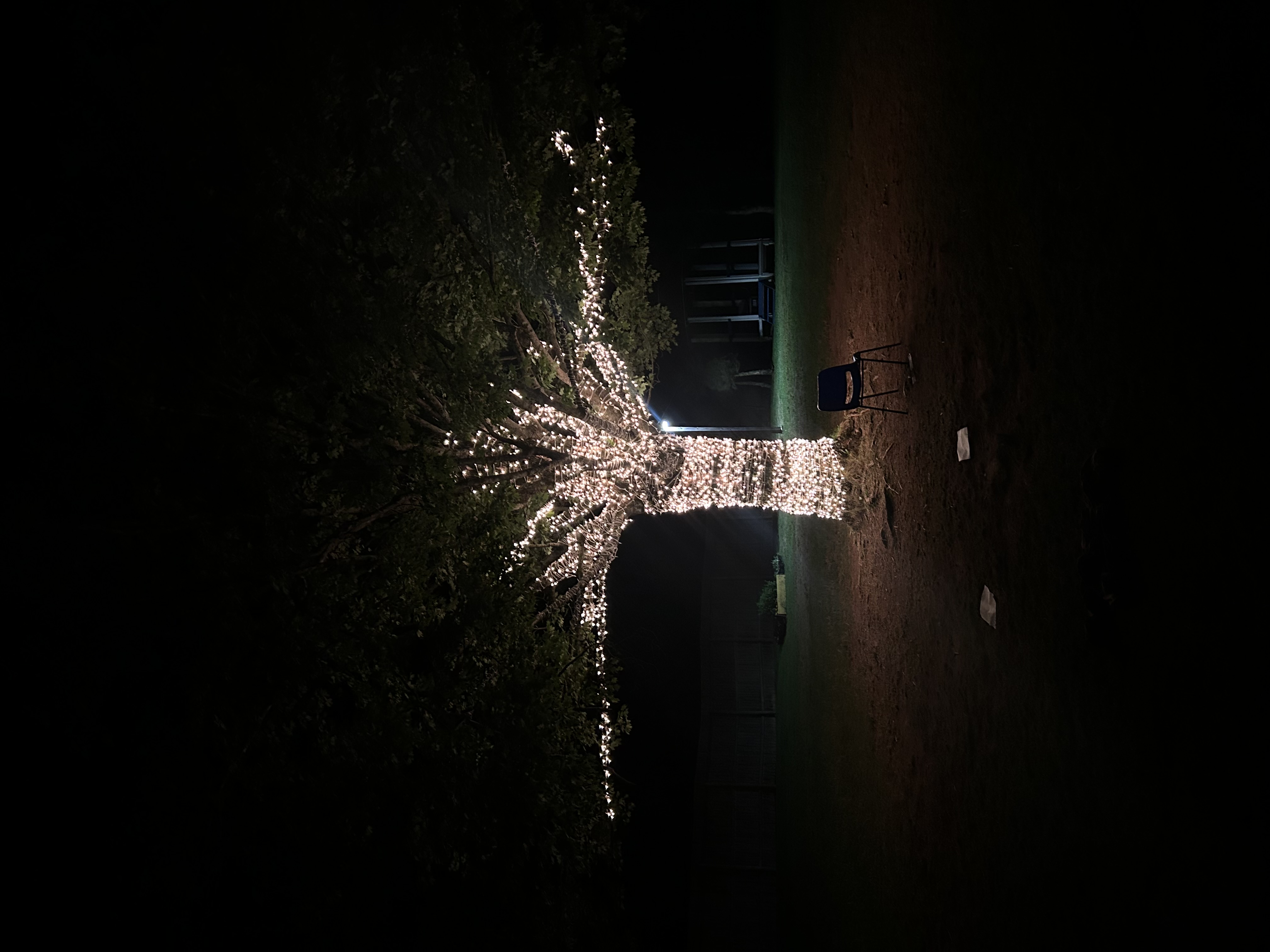 Group of people celebrating on stage