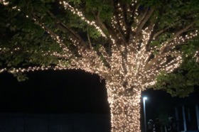 Group of people celebrating on stage