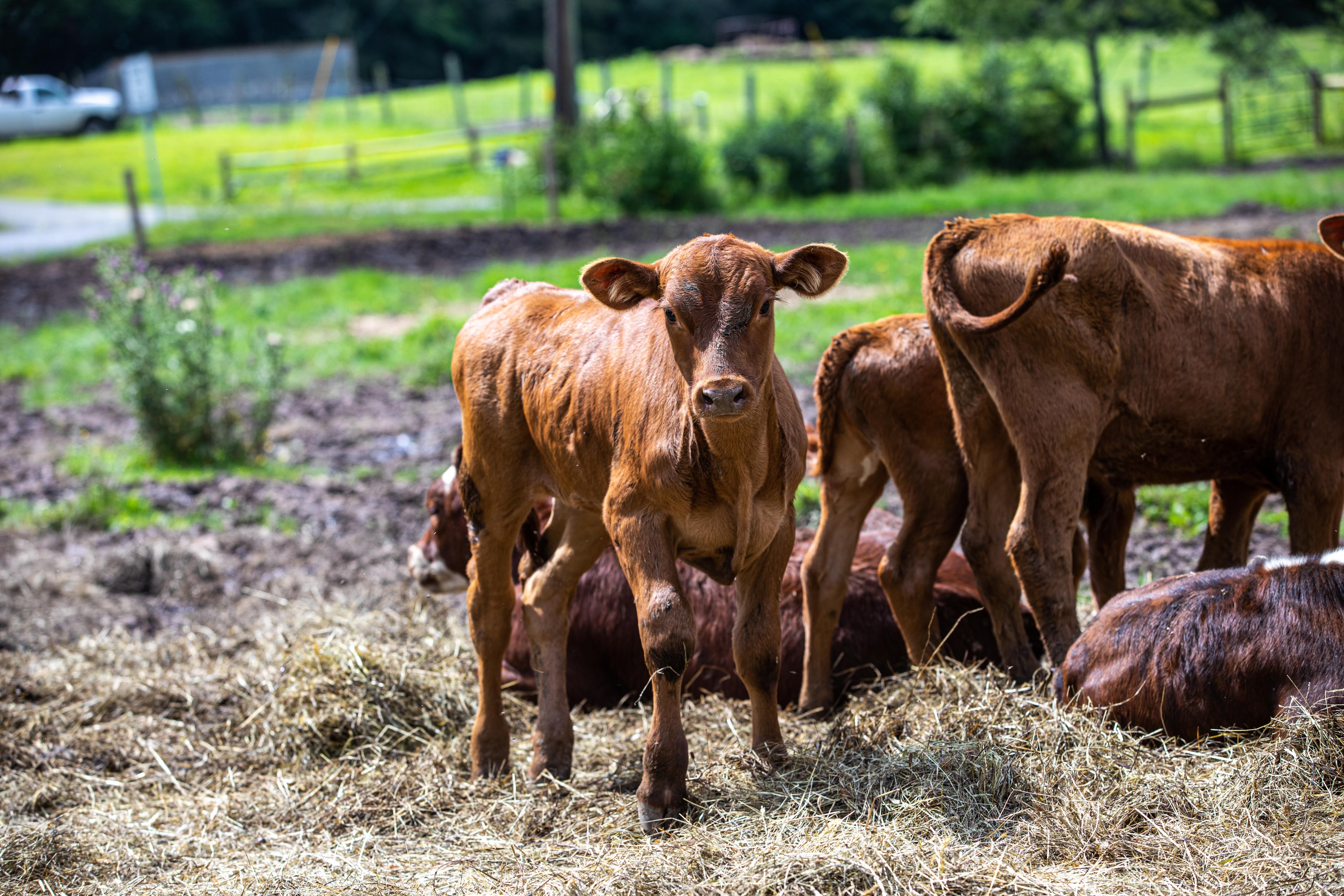 Group of people celebrating on stage