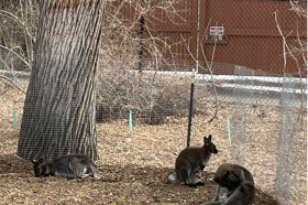 Group of people celebrating on stage