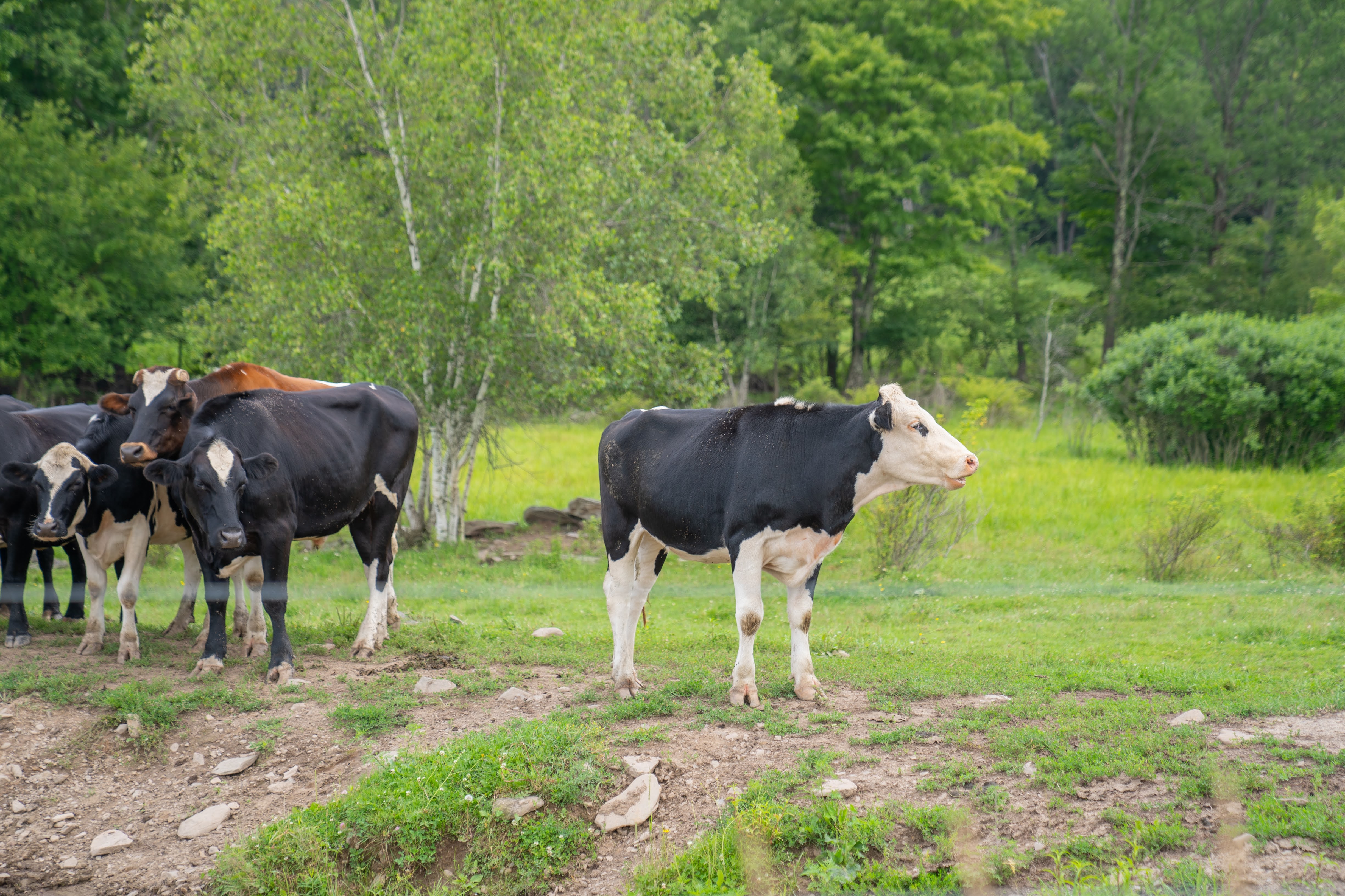 Group of people celebrating on stage