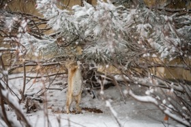 Group of people celebrating on stage