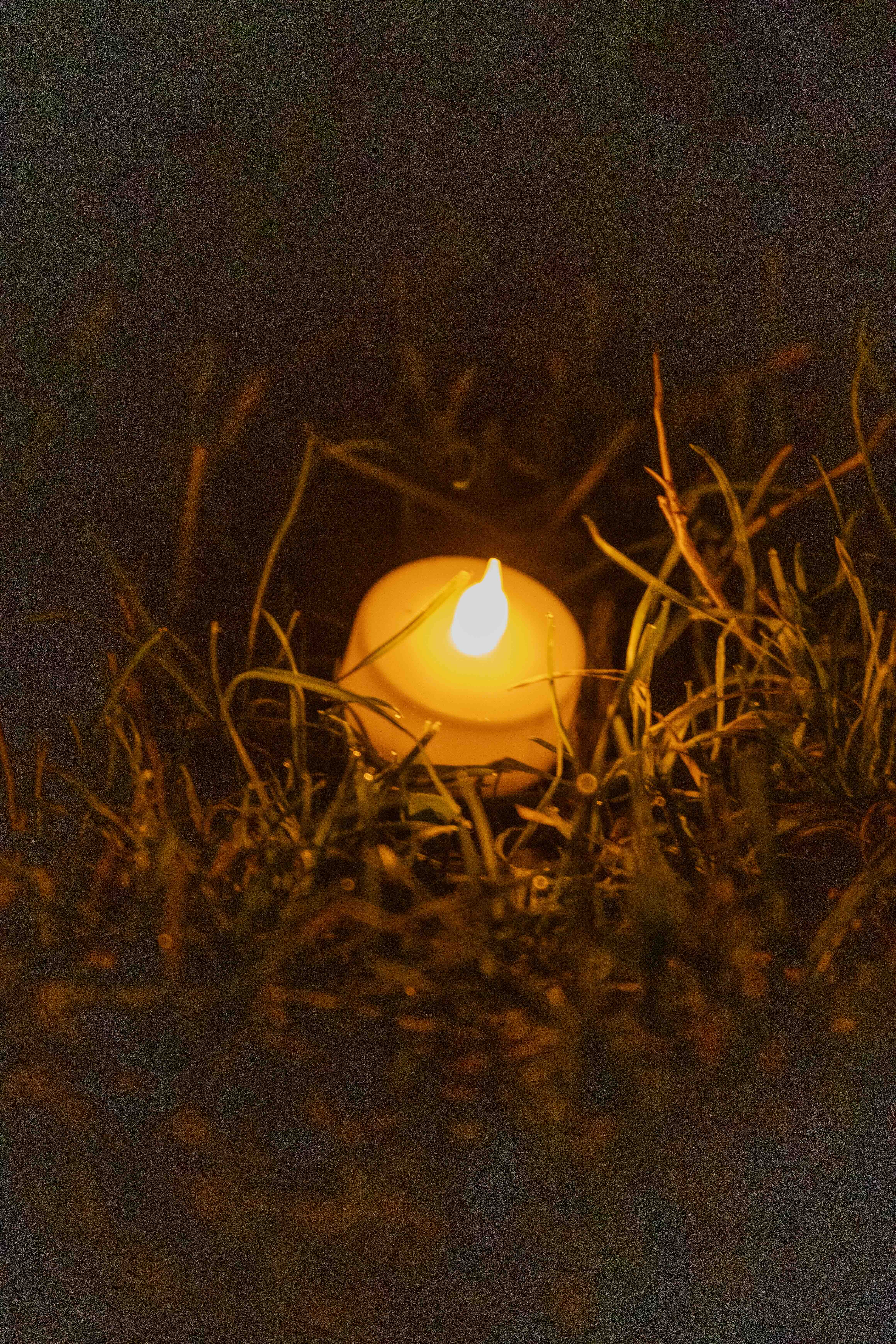Group of people celebrating on stage