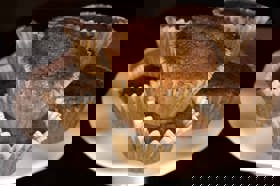 Group of people celebrating on stage