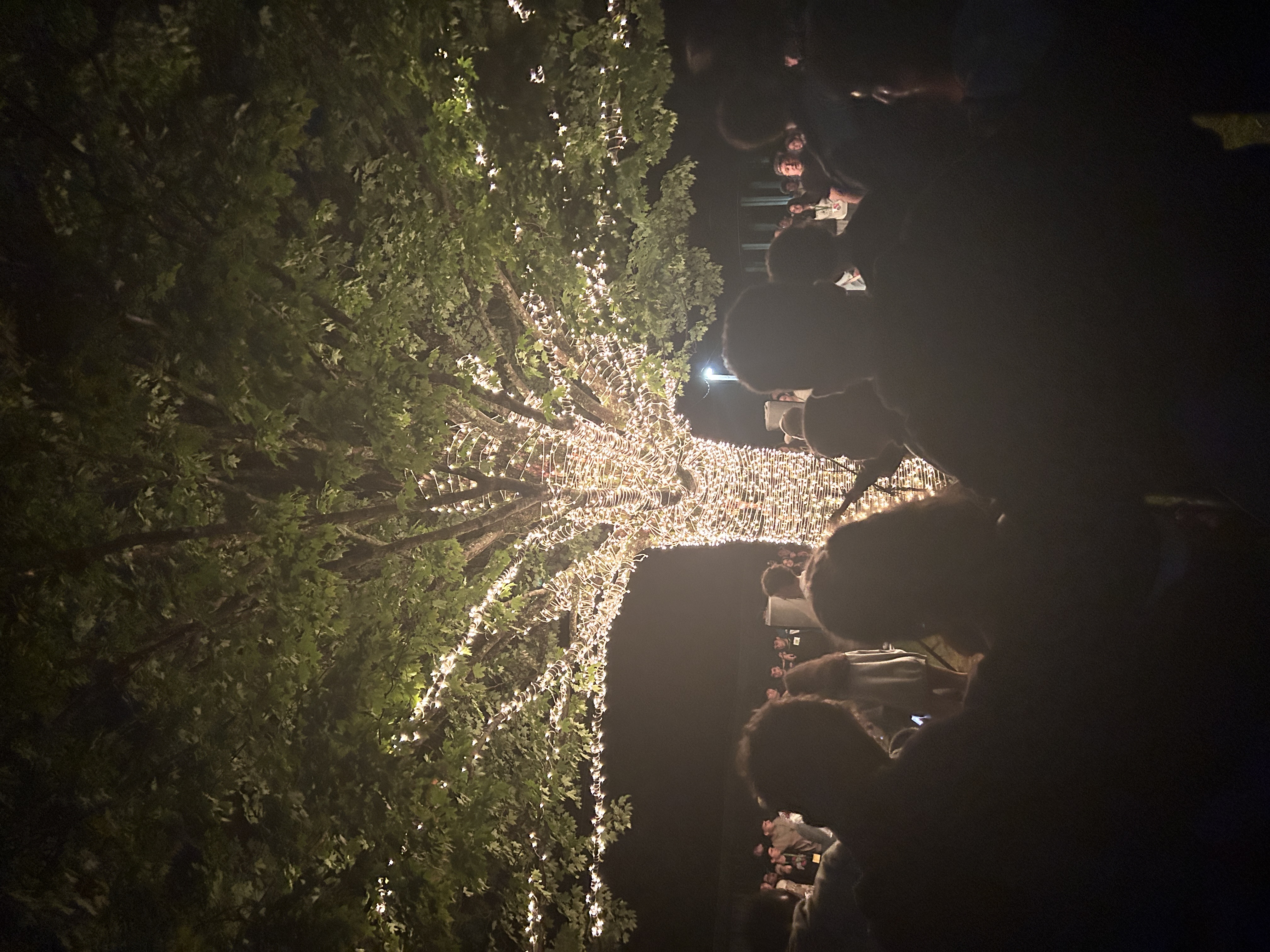 Group of people celebrating on stage