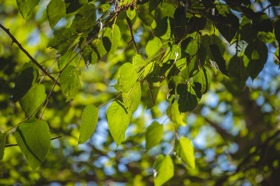 Group of people celebrating on stage